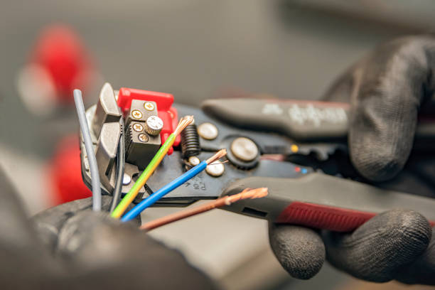 Best Best Electricians Near Me  in Reese, MI