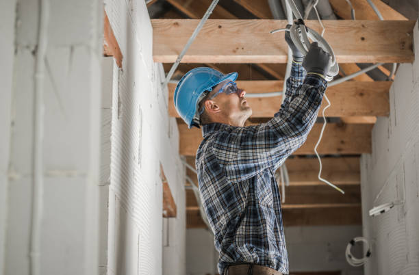 Best Electric Panel Repair  in Reese, MI
