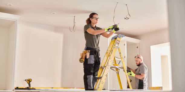 Best Electrical Upgrades for Homes  in Reese, MI